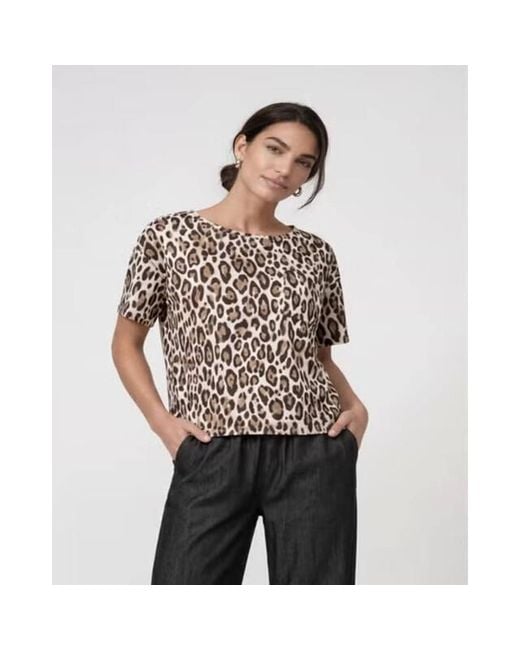 Monari T-Shirt 810133 in het Brown
