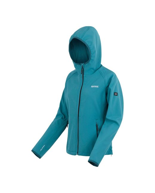 Regatta Soft Shell-Jas (Storm) in het Blue