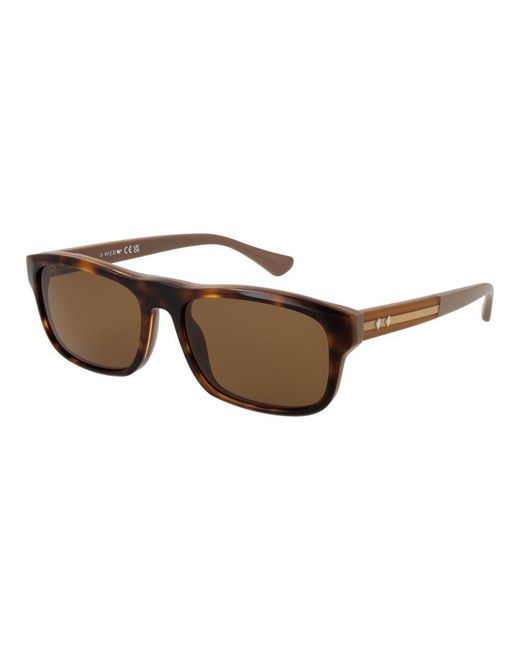 Web Brown Acetate Sunglasses for men