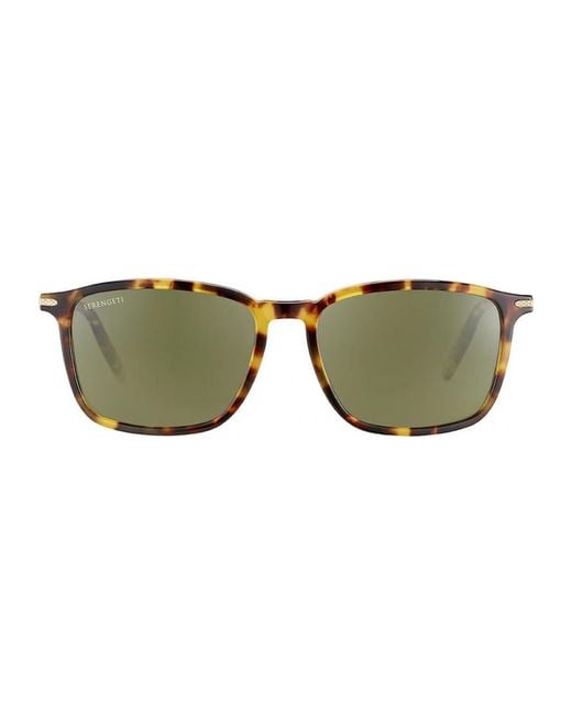 Serengeti Brown Ss485004 57 Lenwood Sunglasses for men
