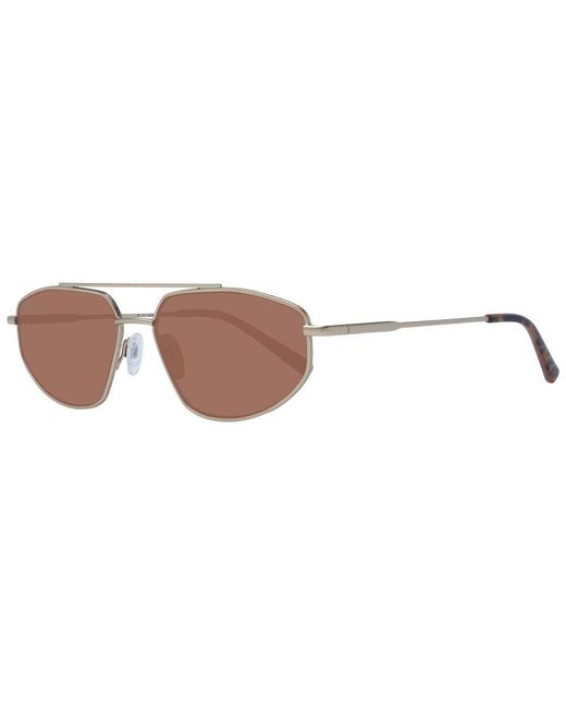 Serengeti Brown Montego Sunglasses Frame for men
