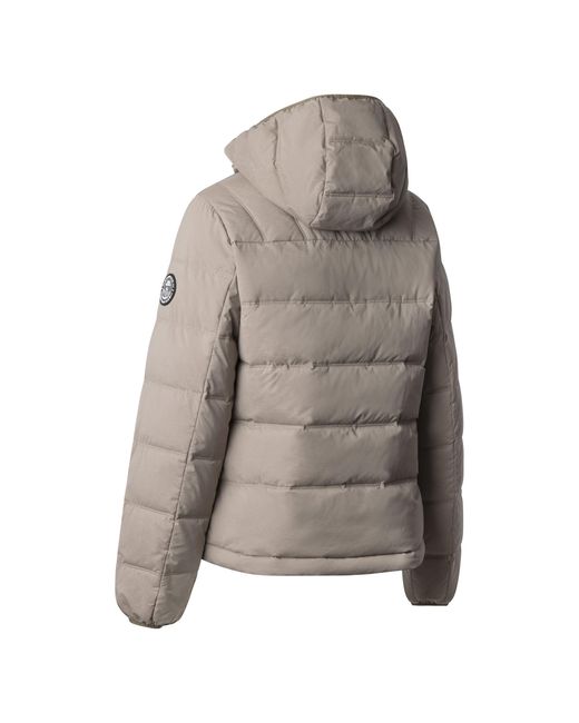 Trespass Rollins Hooded Jacket in het Gray