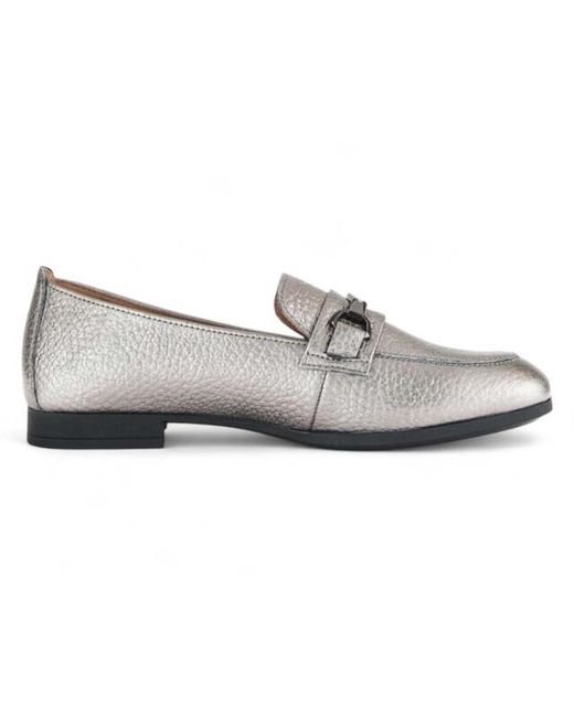 Gabor 55.271 in het Gray