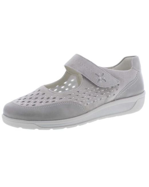 Ara 12-31019 in het Gray