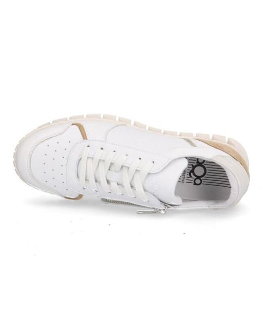 AQA A8701 in het White