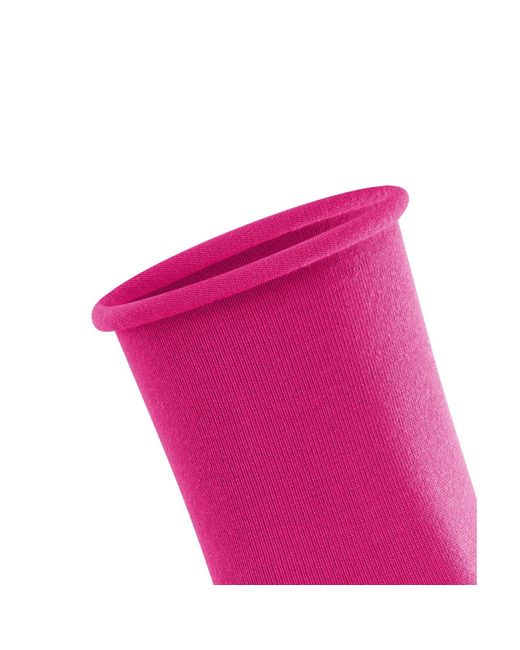 Falke Sokken in het Purple