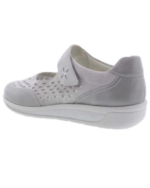 Ara 12-31019 in het Gray