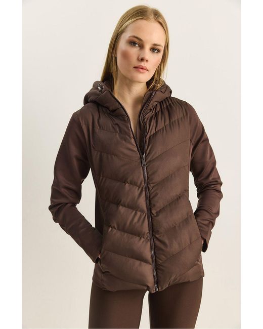 Bianco Lucci Brown Hooded Puffers Coat