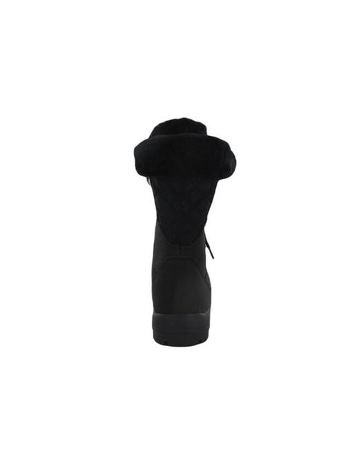 Warmbat Hotham in het Black