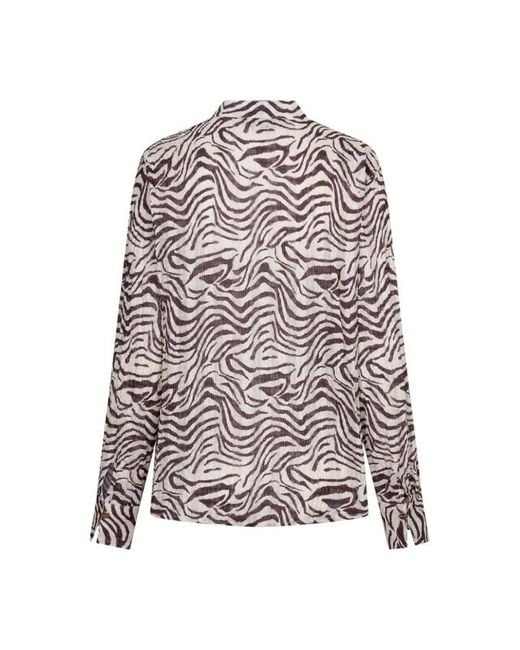 Red Button Rb Zebra Burgundy in het Gray