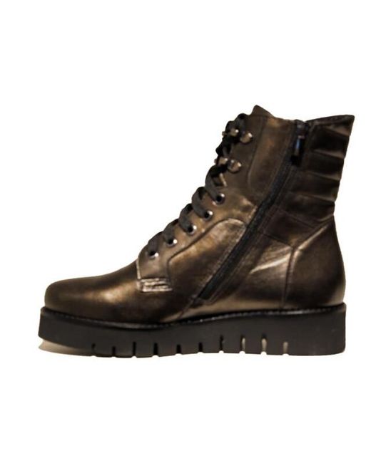 Footnotes 42.004 in het Black