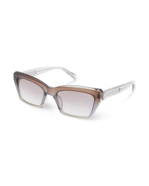 Police Metallic Brown Resin Sunglasses