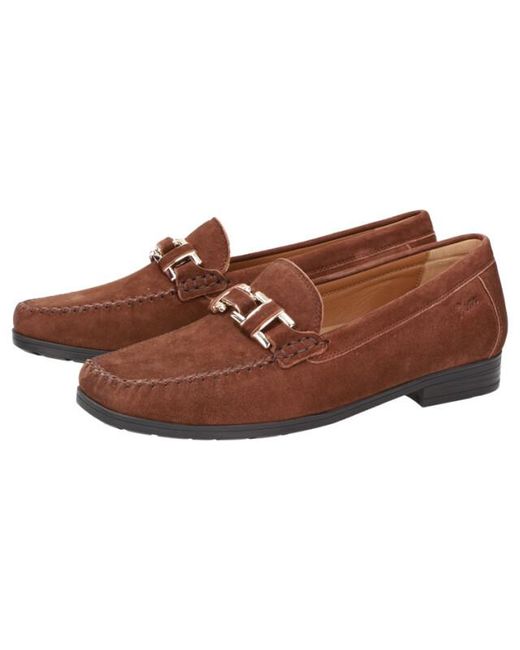 Sioux 67710 in het Brown
