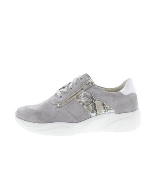 SOLIDUS Kea K in het Gray