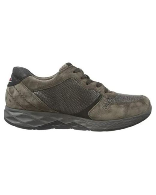 Gabor 56.998 in het Gray
