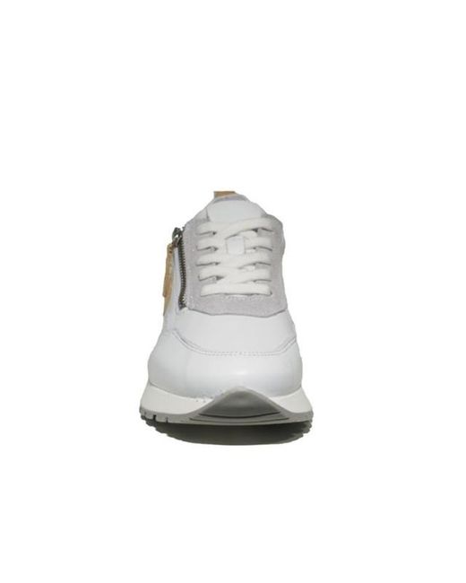 AQA A8536 in het White