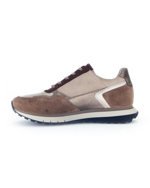 Gabor 56.378 in het Gray