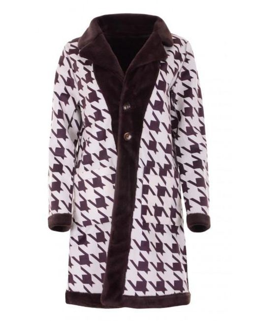 Maicazz Varzo Fa22.10.202 Chestnut in het Purple