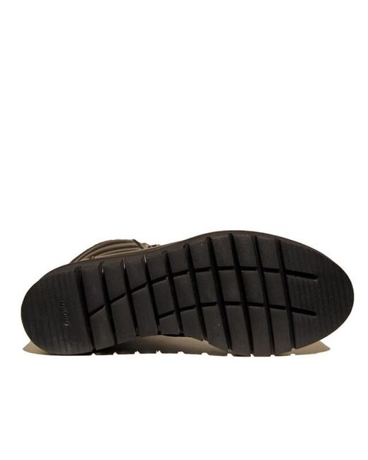 Footnotes 42.004 in het Black