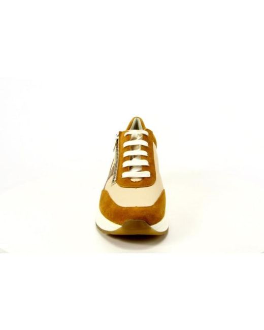 SOLIDUS 46022 in het Brown
