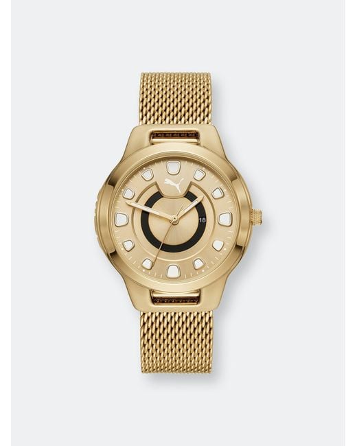 Puma on sale watch gold