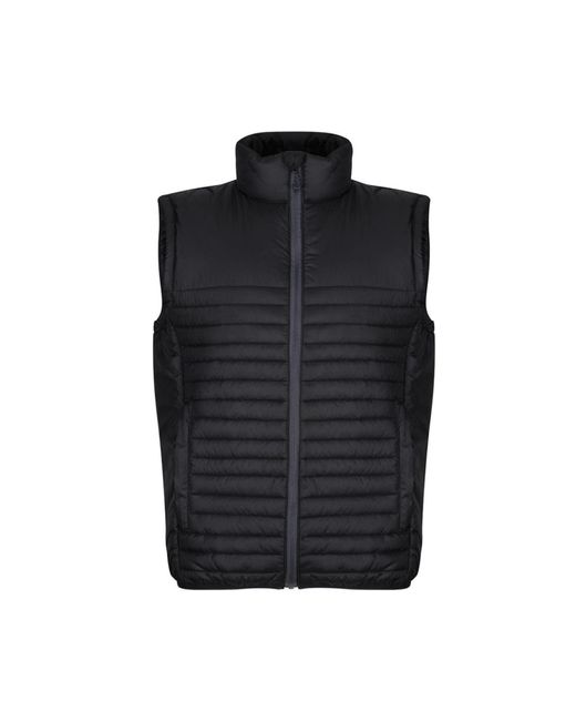 Regatta Honestly Made Recycled Vest in Black for Men | Lyst