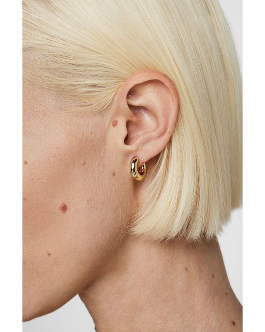 Anine Bing Chunky Hoop Earrings