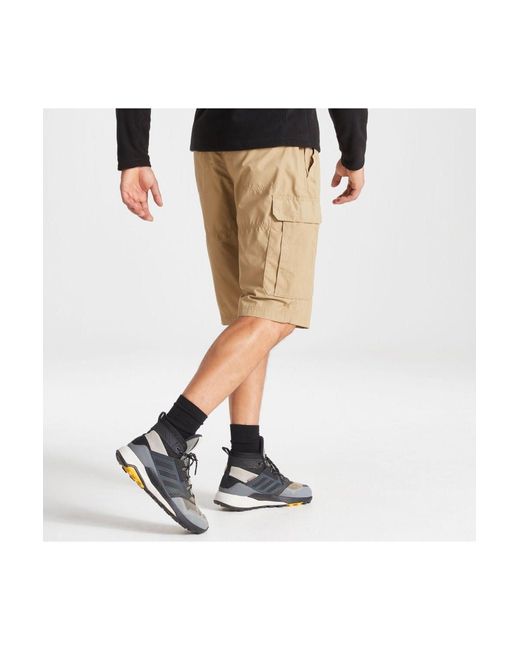 Craghoppers kiwi store long shorts