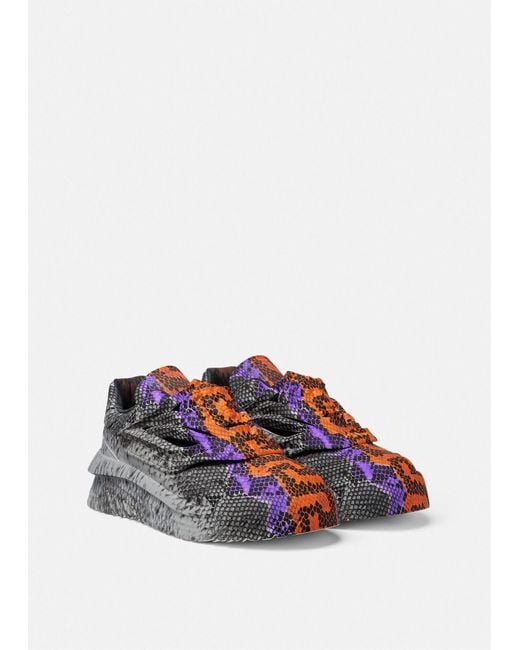 未使用 VERSACE 23SS ODISSEA PYTHON GRECA 45 未使用 VERSACE 23SS ODISSEA PYTHON GRECA 45 - メルカリ