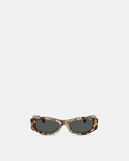 Versace Brown Signature Sunglasses