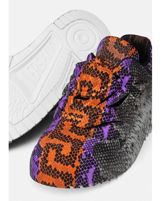 Versace Odissea Python Greca-print Sneakers in Black | Lyst