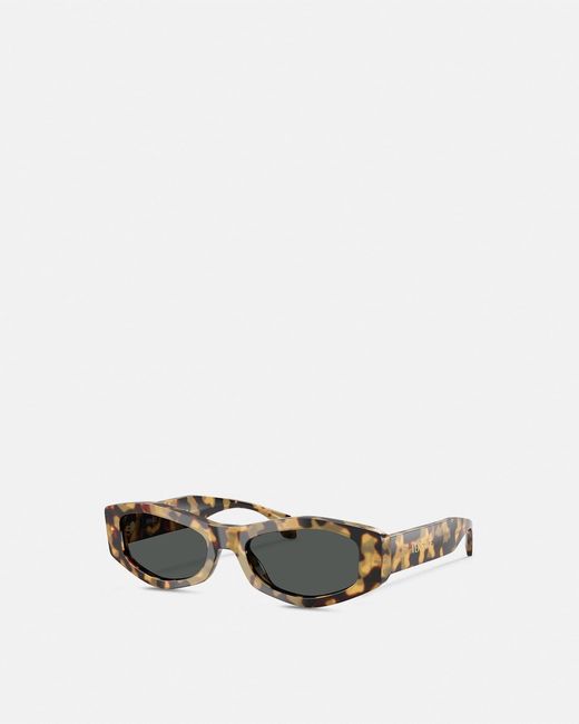 Versace Brown Signature Sunglasses