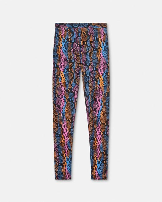Versace Blue Printed Leggings