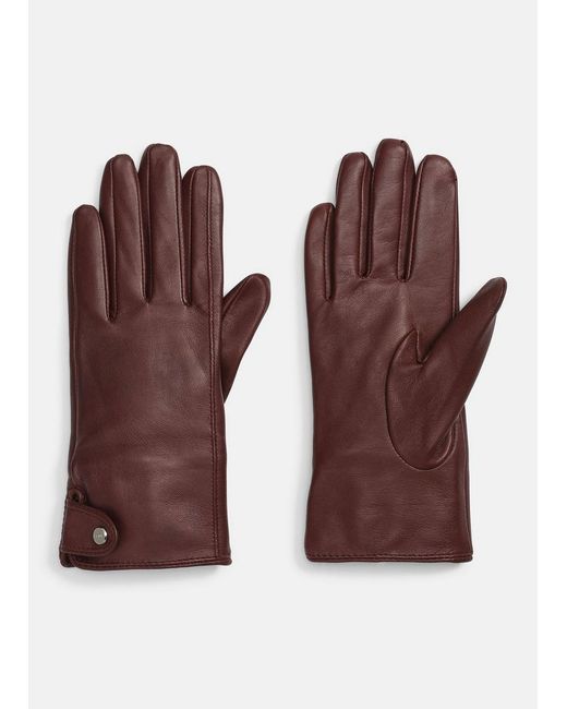 Vince Purple Cashmere-Lined Leather Snap Glove
