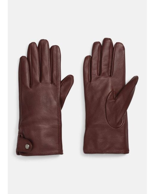 Vince Purple Cashmere-Lined Leather Snap Glove