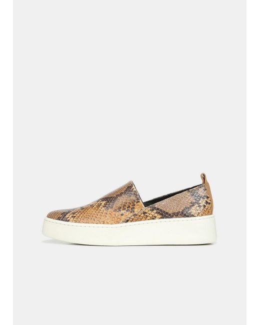 vince saxon 2 sneaker