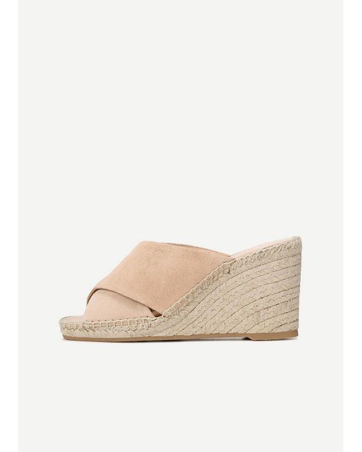 vince gaelan wedge