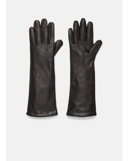 Vince Cashmere-lined Medium Leather Glove, Black, Size L