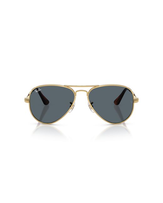 Ray-Ban Black Ray
