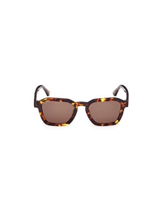 Web Black We0392 55E Sunglasses Acetate Squared Normal for men