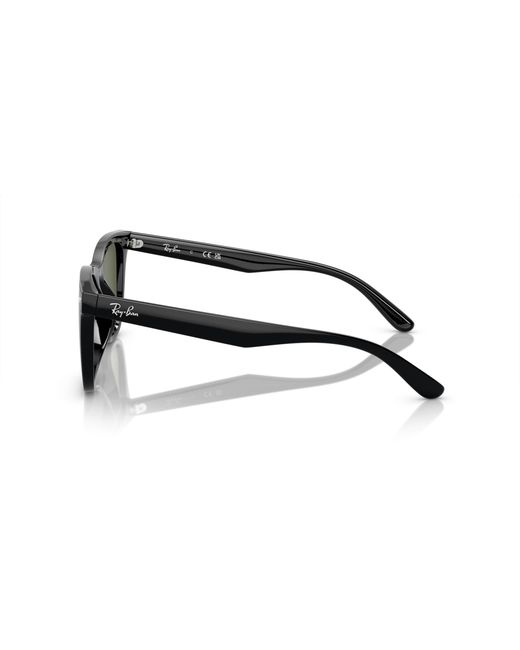 Ray-Ban Black Ray
