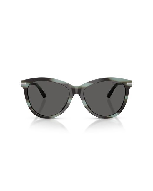 Tiffany & Co Black Tf4258Bu 8443S4 Sunglasses Acetate Pantos Normal
