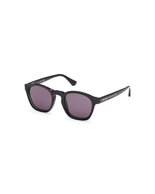 Web Black We0384 05A Sunglasses Acetate Smoke Round Normal for men