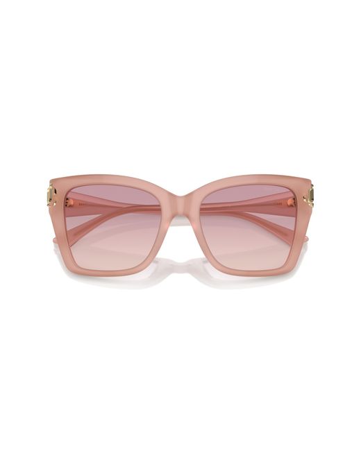 Jimmy Choo Black Jc5012 502768 Sunglasses Acetate Squared Normal Shaded