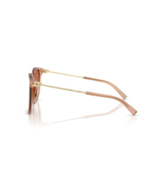 Tiffany & Co Black Tf4244D 826813 Sunglasses Acetate Squared Normal Nuanced