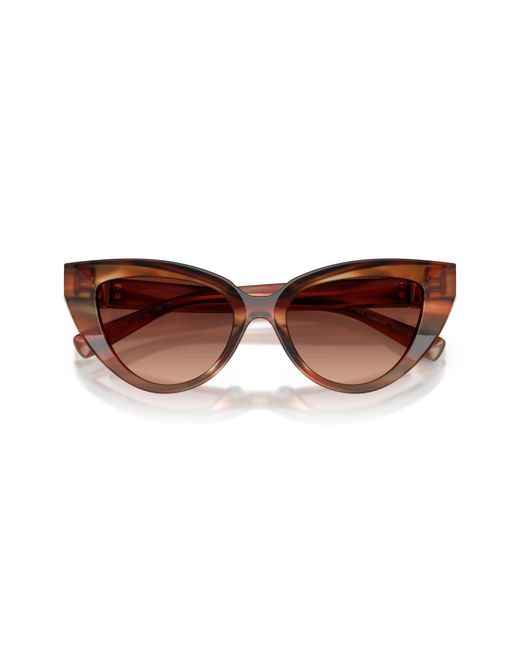 Dolce & Gabbana Black Dg4497 322113 Sunglasses Acetate Cat Eye Normal Shaded