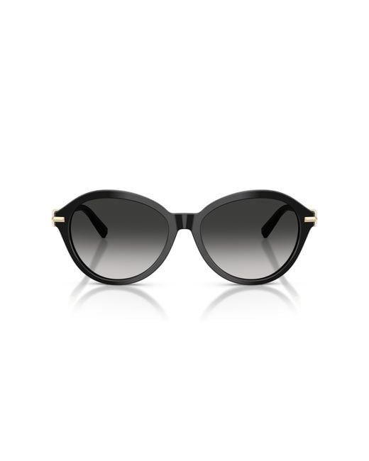 Tiffany & Co Black Tf4259 80013C Sunglasses Acetate Round Normal Nuanced