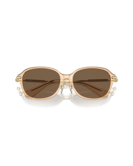 Burberry Black Be4429D 406373 Sunglasses Acetate Cat Eye Normal