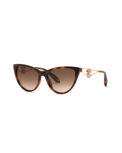 Roberto Cavalli Black Src158M 9Ajk Sunglasses Acetate Butterfly Normal Nuanced