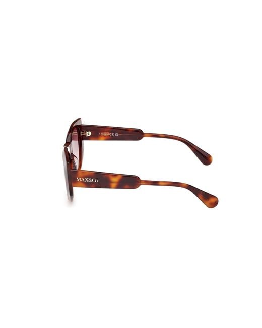 MAX&Co. Black Mo0116 52F Sunglasses Acetate Round Normal